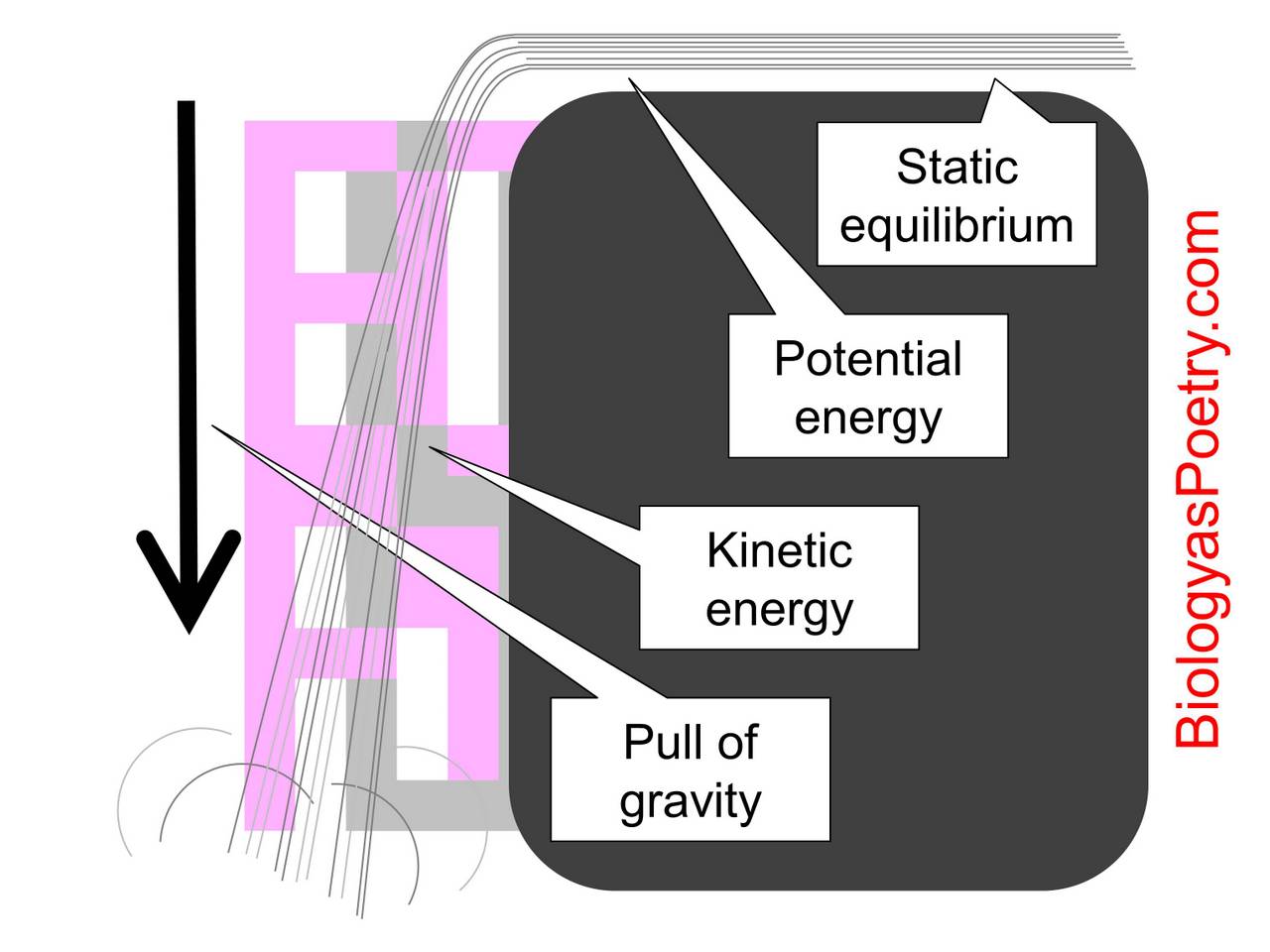 kinetic energy diagram for kids