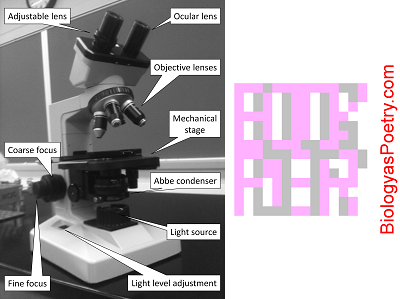 Iris Diaphragm