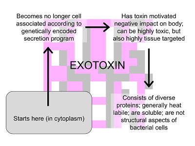 Exotoxin