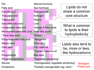 Lipid