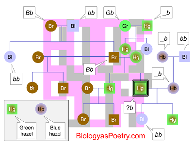 Pedigree Analysis