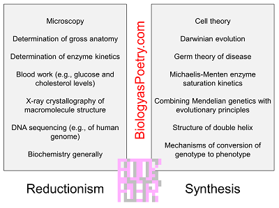 Reductionism/Synthesis
